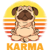 KARMA PUG