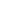 Viking Shieldmaiden