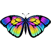 papillon arc en ciel