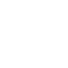 Zimbabwe - Lion