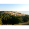 Dune du Pilat