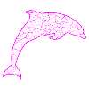 Delfin Dolphin