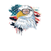 Flaga USA American Power 4 lipca