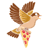 Pizza Eater Bird Watching