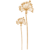 Dandelions, dandelions