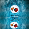 Two fishs in bubble