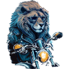 Lion cool