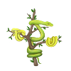 The Green Python - Tree Python