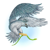 Harpy bird carries the snake
