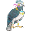 Harpie Oiseau de proie