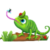 Funny chameleon plays with insects