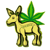 Cannabiche 05 mit Tippfehler
