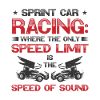 Sprint Car Dirt Track Racing
