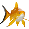 Goldfisch