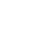 BIG BROTHER