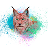 lynx,chat,peinture,aquarelle,peinture