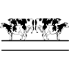 Four cow black and white monogram