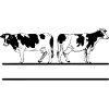 Black white cows monogram