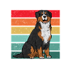 Bernese Mountain Dog