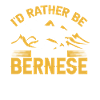 Bouvier bernois