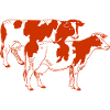 Two red-spotted cows