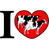 Black and white cows in heart