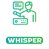 Data Whisper