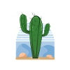 Funny cactus