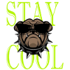 Stay Cool Gift Idea