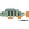 Perch - Perca fluviatilis pixelated
