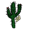 Lonely cactus