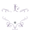 Point V(V)(v)