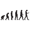 Human evolution to phone addiction