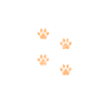 Best Dog Dad