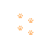 Best Dogs Mom