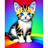 Rainbow kitten