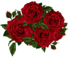 Fleurs aquarelles rouges