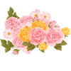 Fleurs aquarelles roses