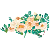 Fleurs aquarelles
