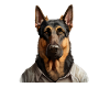 Man's best friend