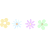 Minimalist flowers