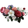Fleurs aquarelles