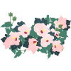 Minimalist flowers