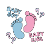 Gender Reveal