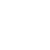 Groupe de fleurs protea