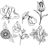 Minimalistische Blumengruppe