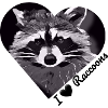 I ♡ Raccoons