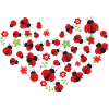 A HEART FOR INSECTS