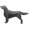 Autocollant Retriever à enduit plat