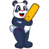 Panda Cricket Cricket Bat